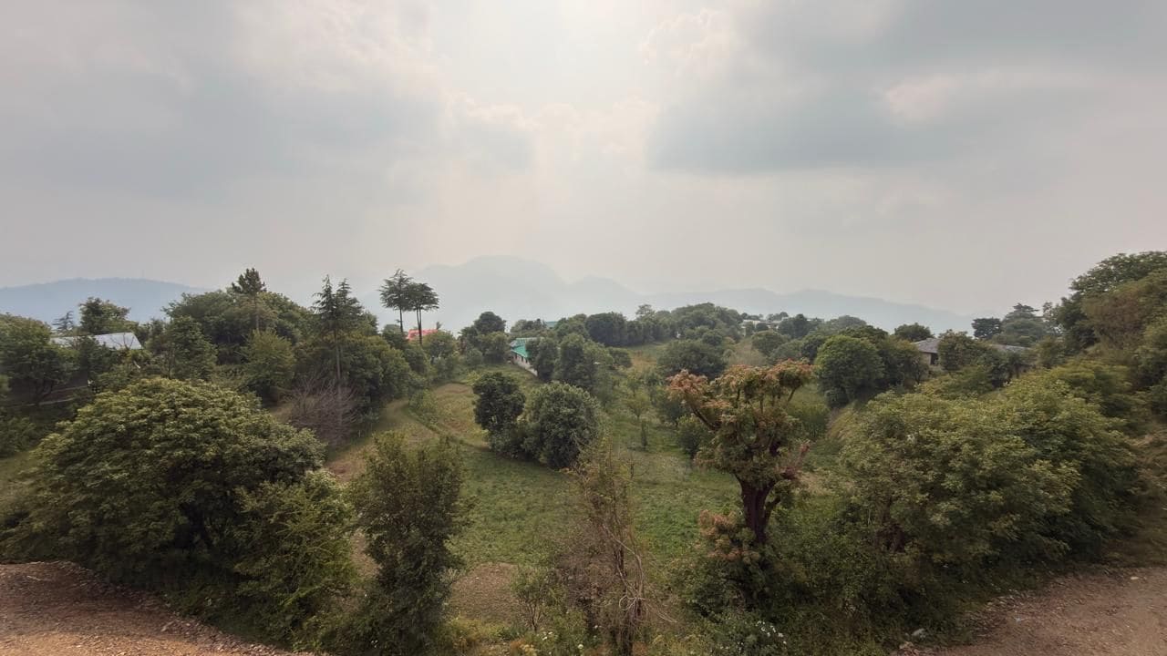 Paisaje rural con árboles y un sendero de tierra.