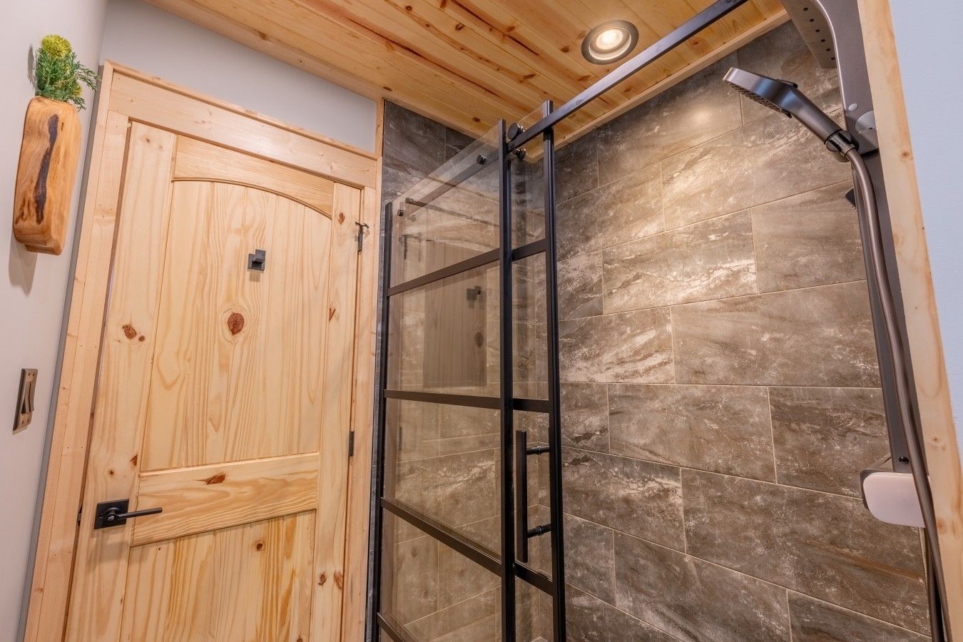 Une porte en bois, avec une porte vitrée à côté, un espace douche doté d’une porte vitrée et un luminaire au plafond.
