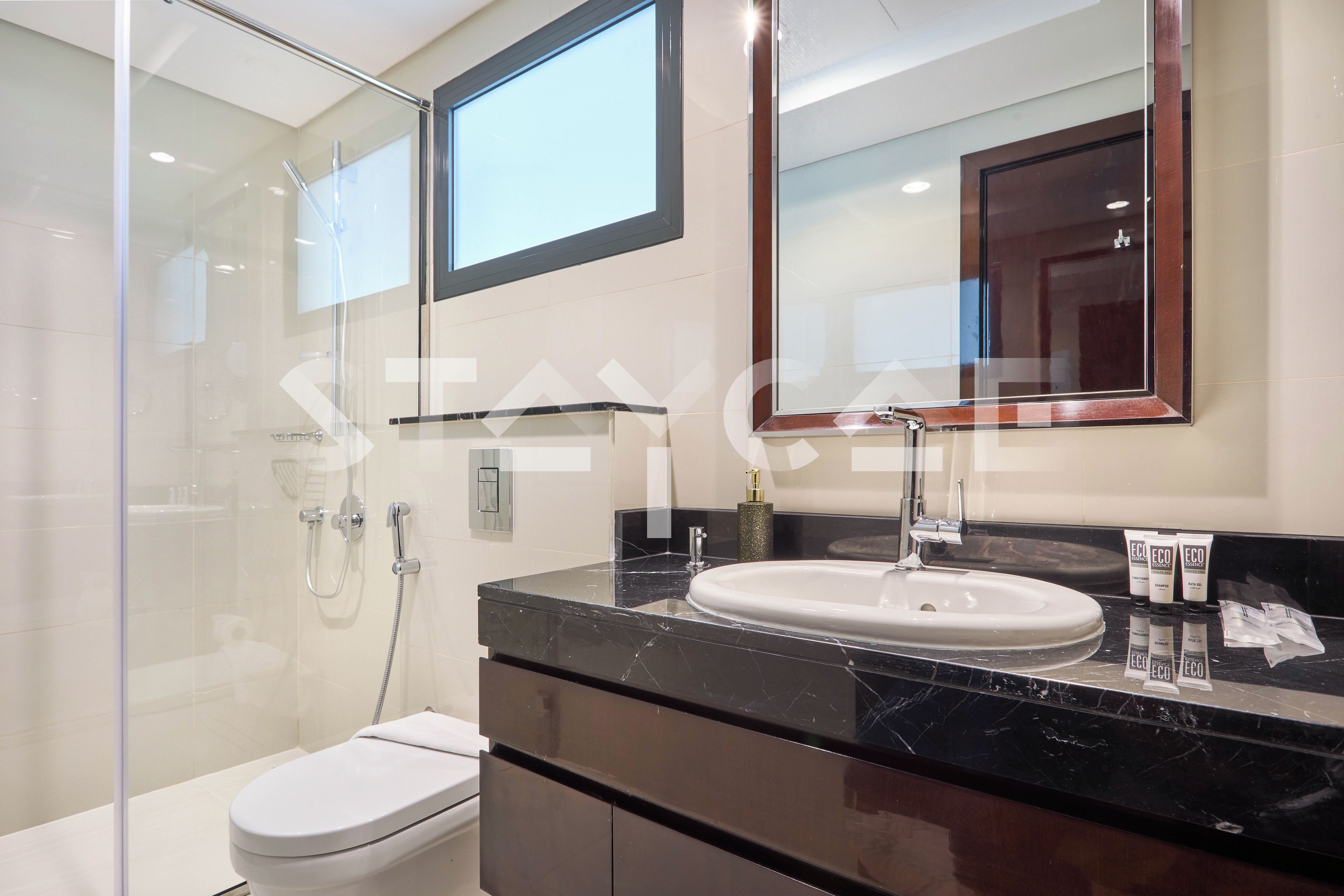 A modern bathroom with a glass shower enclosure, a white toilet, a black marble sink, and a large mirror above the sink.