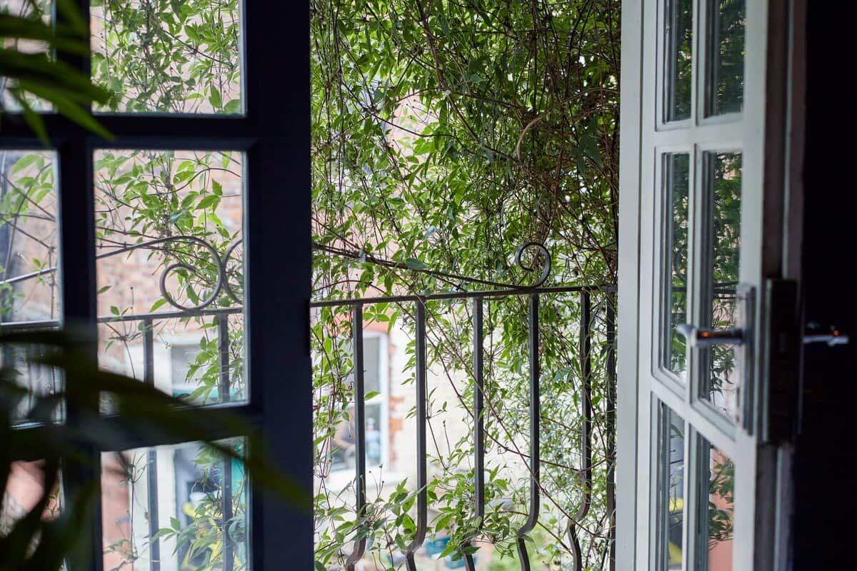 A view through a window with a metal railing, greenery outside, and a building in the background.