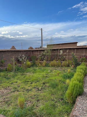 A rooftop garden with various plants and a brick wall.