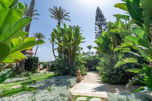Ein Gartenpfad mit tropischen Pflanzen und blauem Himmel.