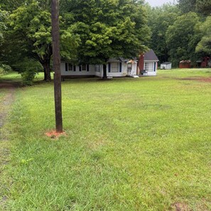 A residential property with a grassy yard, a single-story house, and a large tree in the foreground. - Country Ocean 2 bedroom home near the forest (Salisbury)