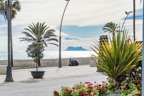 Un sendero pavimentado con palmeras, un banco y una persona sentada.