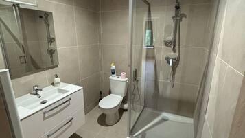 A modern bathroom with a glass-enclosed shower, a white sink, and a toilet.