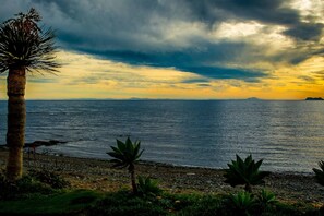 A coastal landscape with a palm tree, agave plants, and a view of the sea under a cloudy sky. - LM352B- Spacious duplex penthouse with panoramic (Estepona)