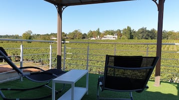 Ein überdachter Außenbereich mit Blick auf einen Weinberg.