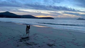 A beach with a dog and mountains in the background.