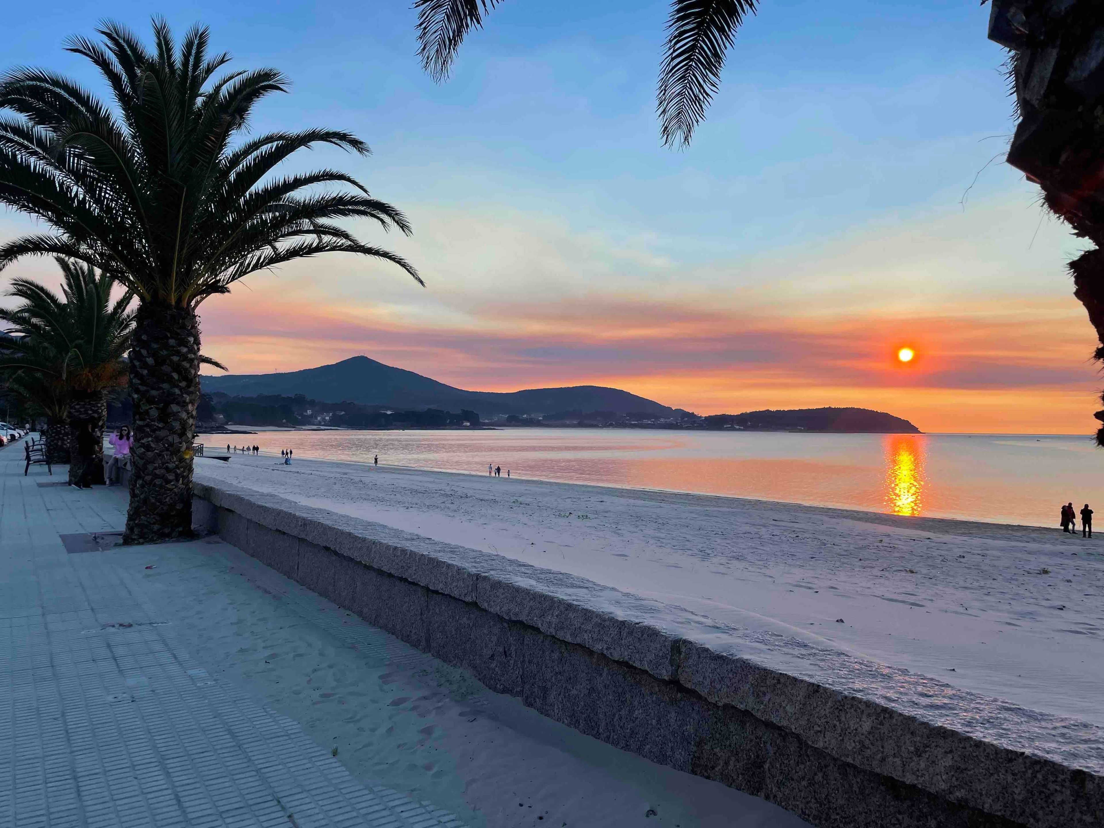 Een strand bij zonsondergang, met palmbomen en een berg in de verte.