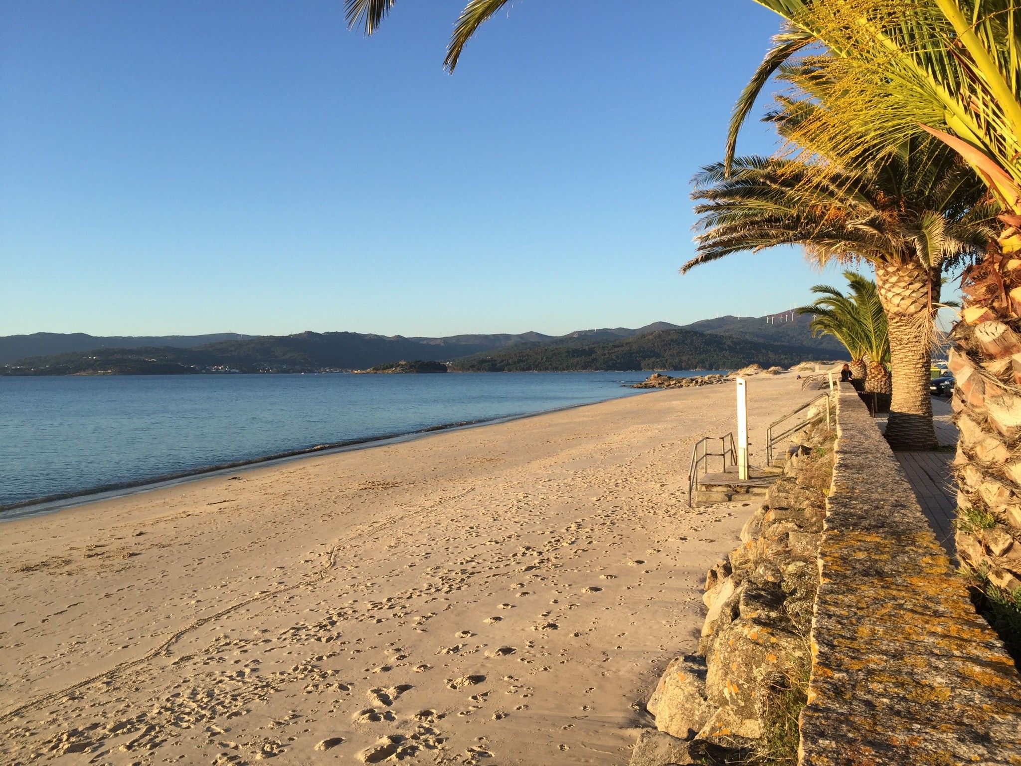 Une plage avec un ciel dégagé, un rivage rocheux et des palmiers.