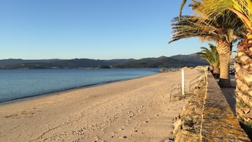 Une plage avec un ciel dégagé, un rivage rocheux et des palmiers.
