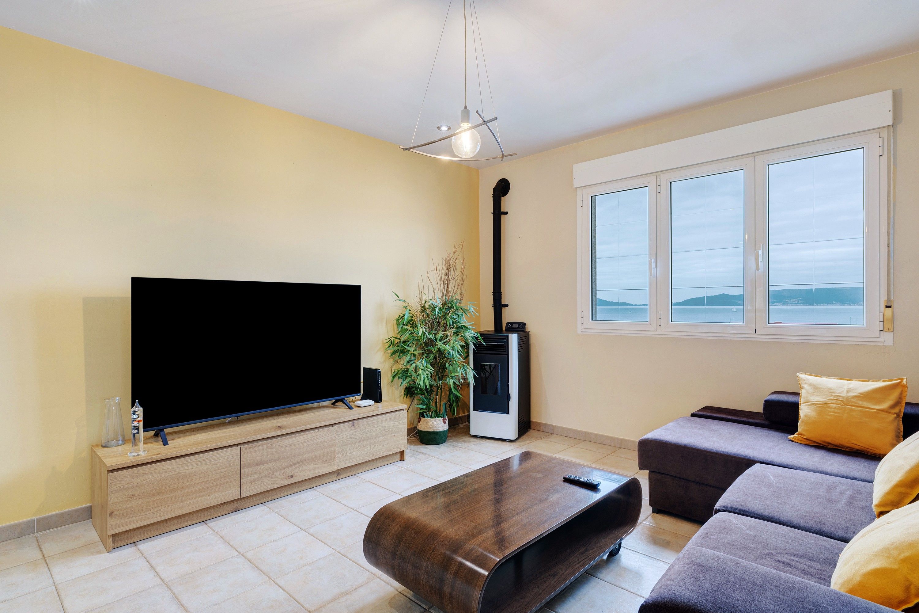 A modern living room with a flat-screen TV, a potted plant, a heater, a sofa, and a window with a view.