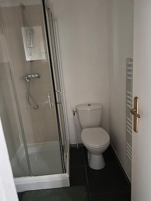 A bathroom with a glass-enclosed shower, a toilet, and a radiator. - BELLAIR1: Business or leisure stay right across from the train station (Saint Dizier)