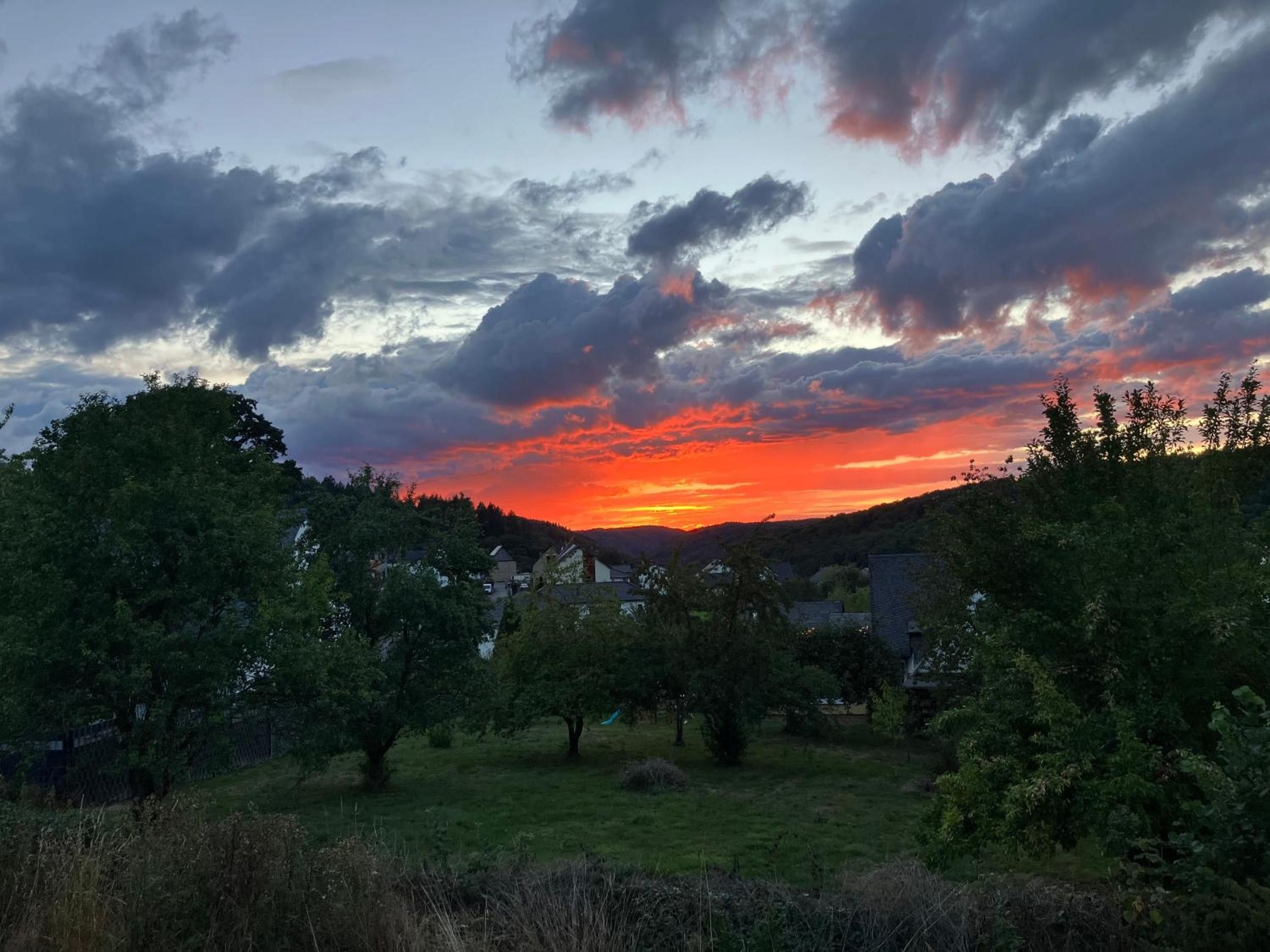 Een landelijk landschap met een zonsondergang, bomen en huizen.