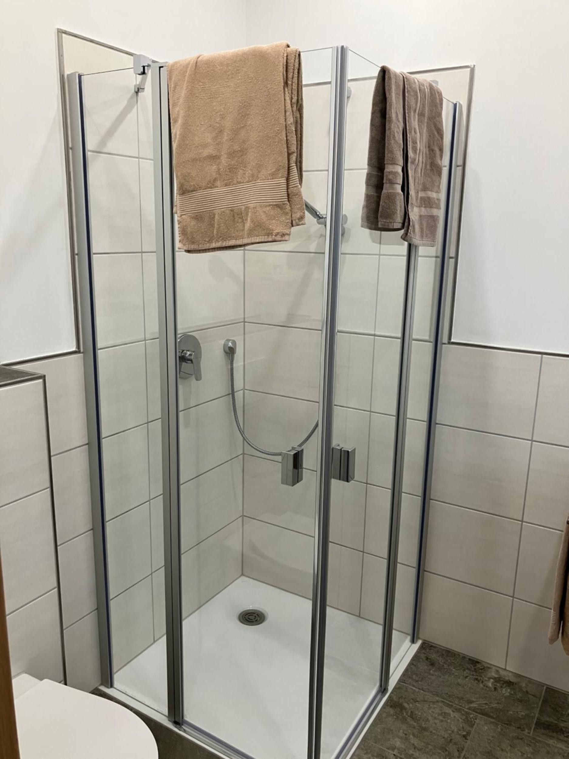 Une cabine de douche fermée par des parois en verre, dotée d’un pommeau de douche à main et d’un panneau de commande.