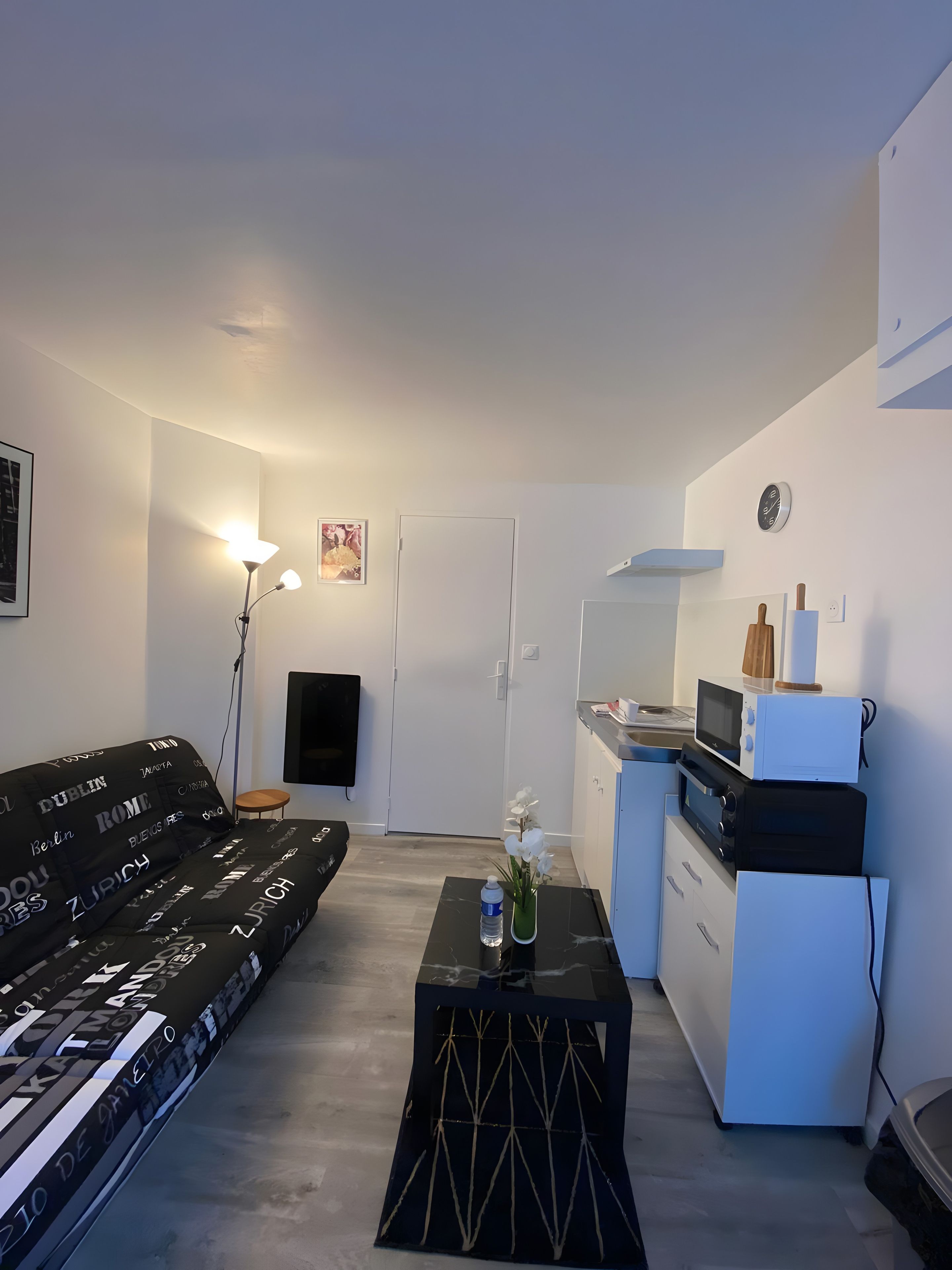 Un espace de vie compact comprenant un canapé, une petite table avec un vase, un coin cuisine équipé d’appareils électroménagers et une porte.