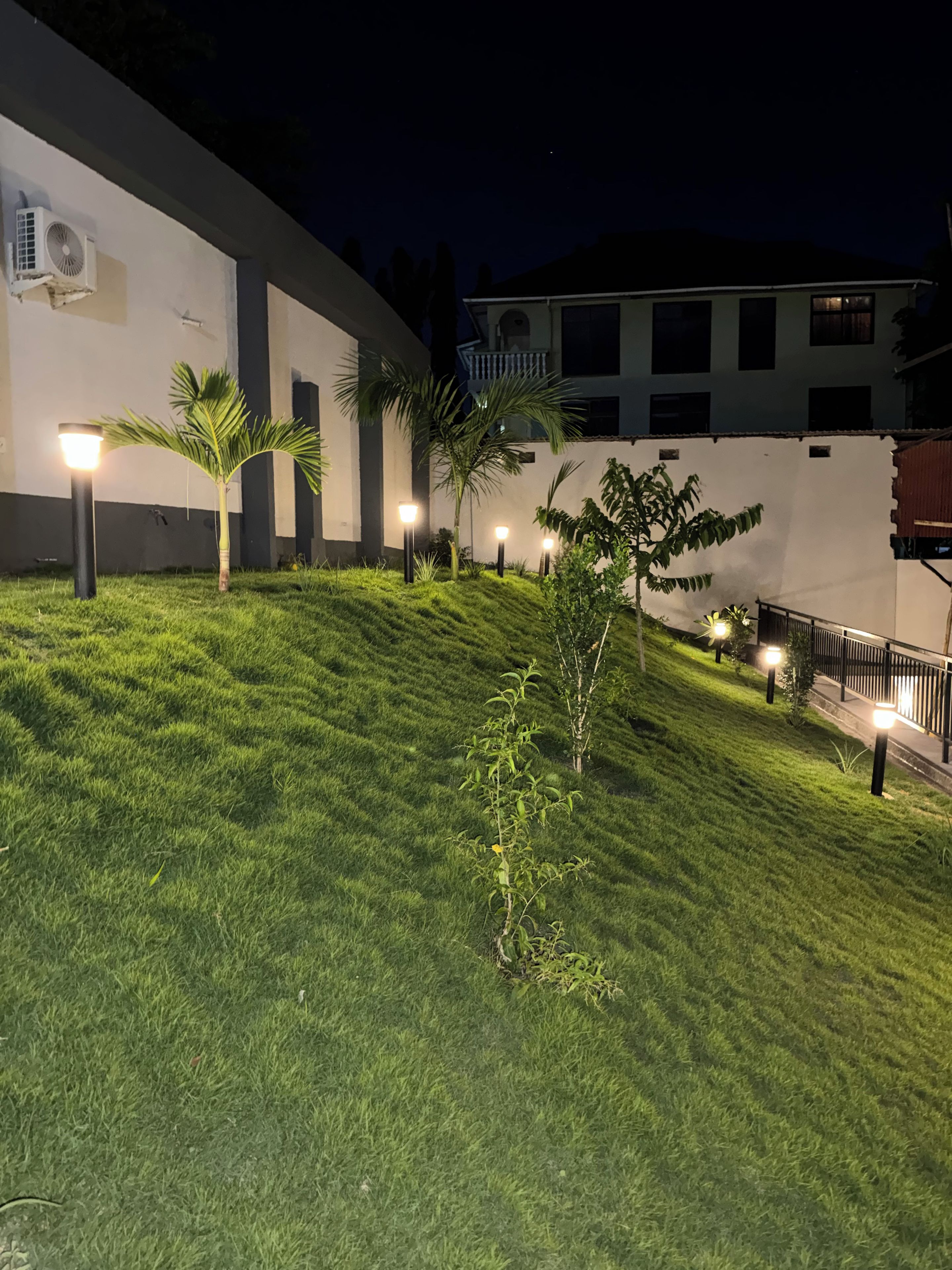 A landscaped area with grass, palm trees, and outdoor lighting.