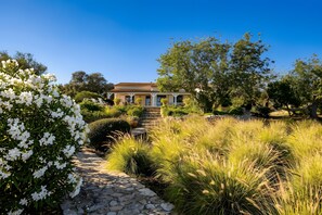 A house with a stone pathway leading to a door, surrounded by lush greenery and white flowers. - Cosy country house with heatable swimming pool and sea view. (Estói)