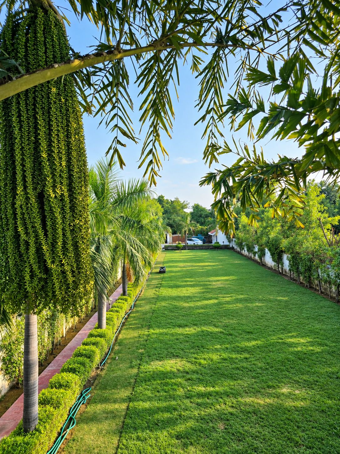 A well-maintained garden with a lawn, neatly trimmed hedges, and a variety of trees.
