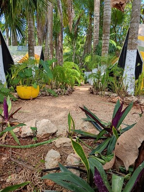 A pathway surrounded by tropical plants and palm trees.
