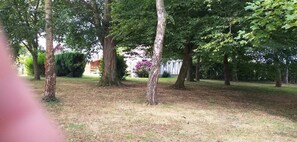 A park with multiple trees and a grassy area. - Chalet 'Bungalow Chouette' with Private Terrace and Private Garden (Néville)