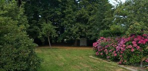 Ein Garten mit verschiedenen Bäumen, einer Hecke aus rosa Blüten und einer kleinen Gartenhütte.