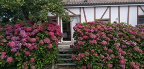 Ein Gebäude mit weißer Fassade und braunen Holzbalken, umgeben von üppigen, rosa Hortensienbüschen.