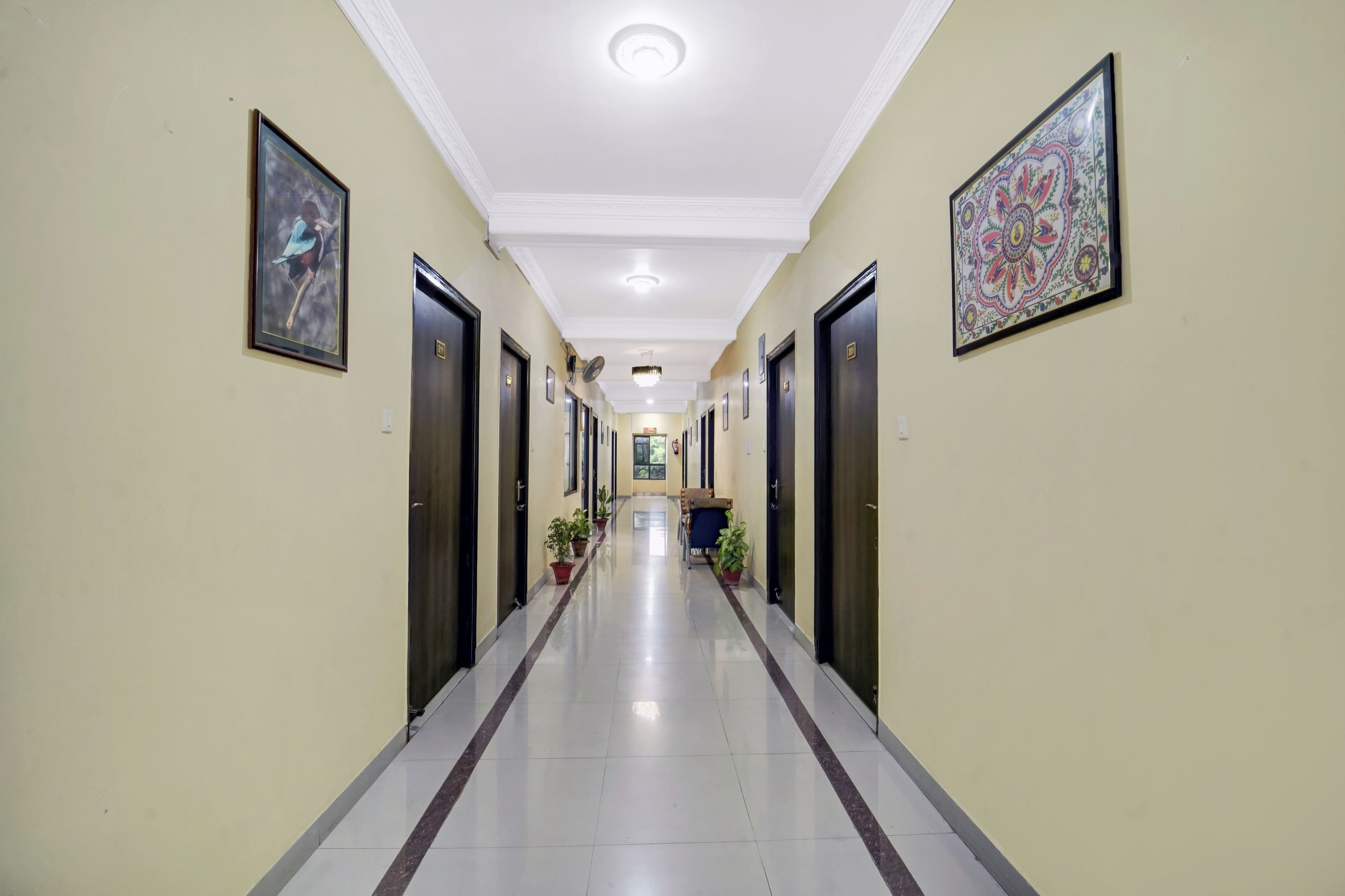 A hotel hallway with doors, potted plants, and a ceiling light.