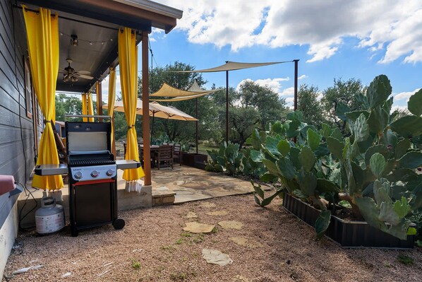 A patio with a grill, yellow curtains, and a cactus plant.