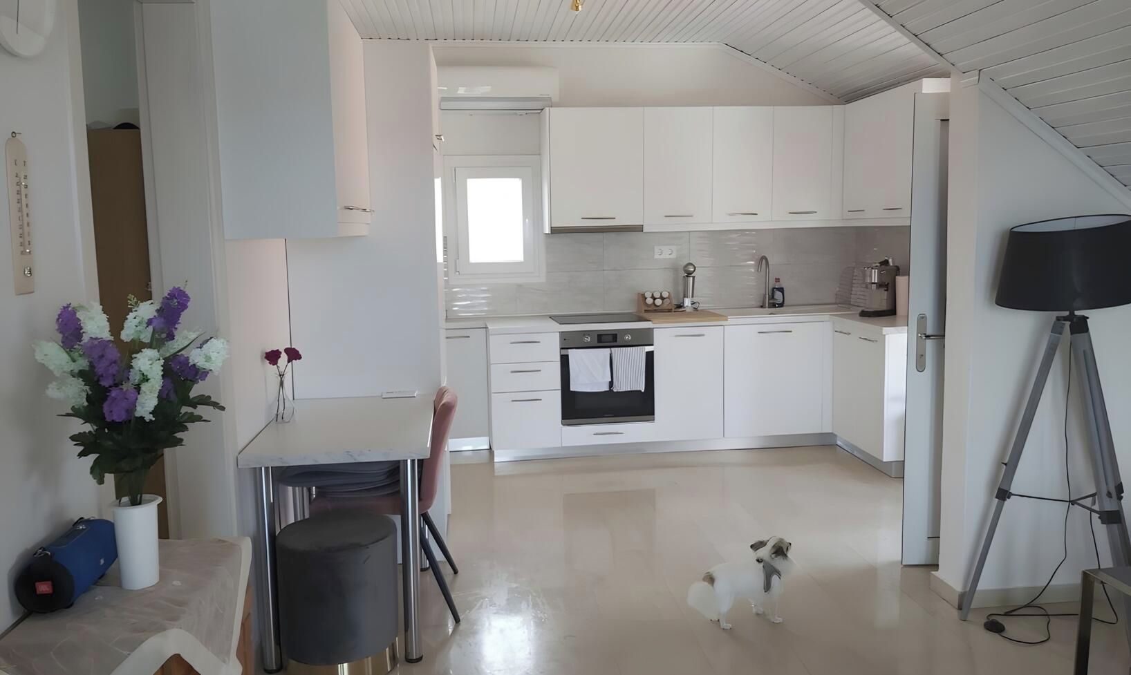 Une cuisine moderne avec des meubles blancs, un îlot central et un petit chien sur le sol.