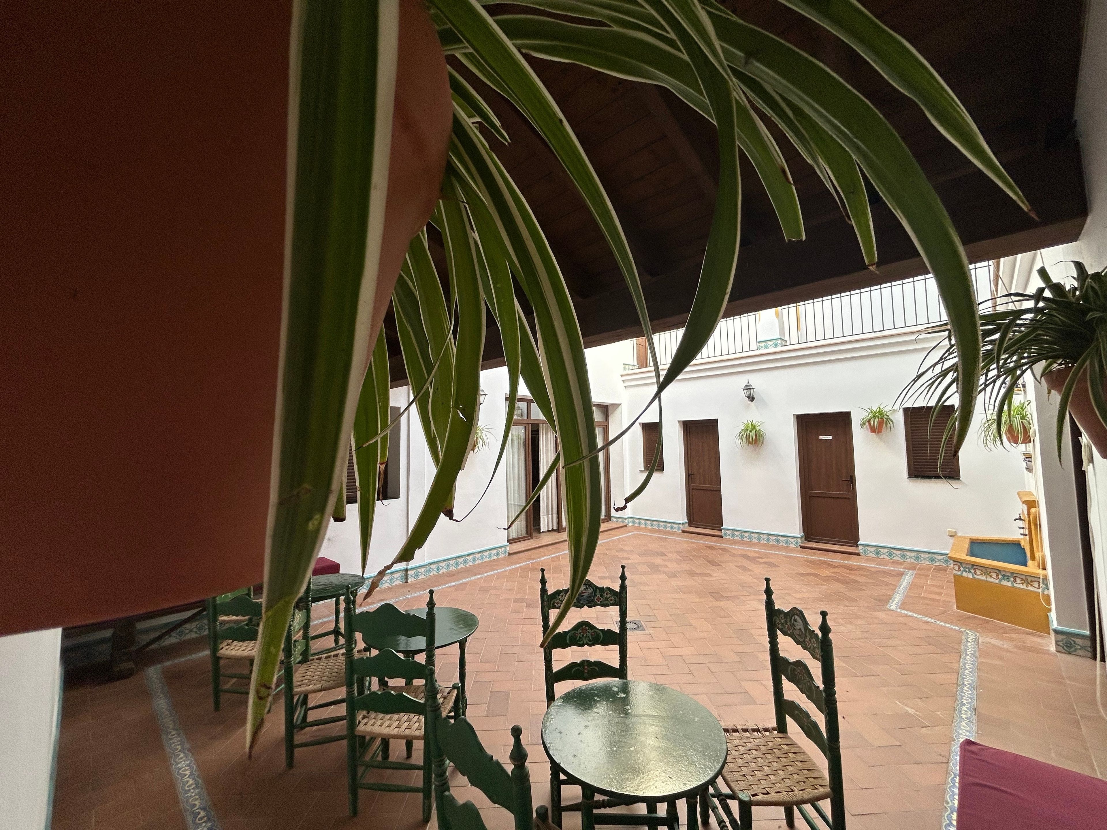 An outdoor patio area with a table and chairs, surrounded by potted plants and a white building with wooden doors.