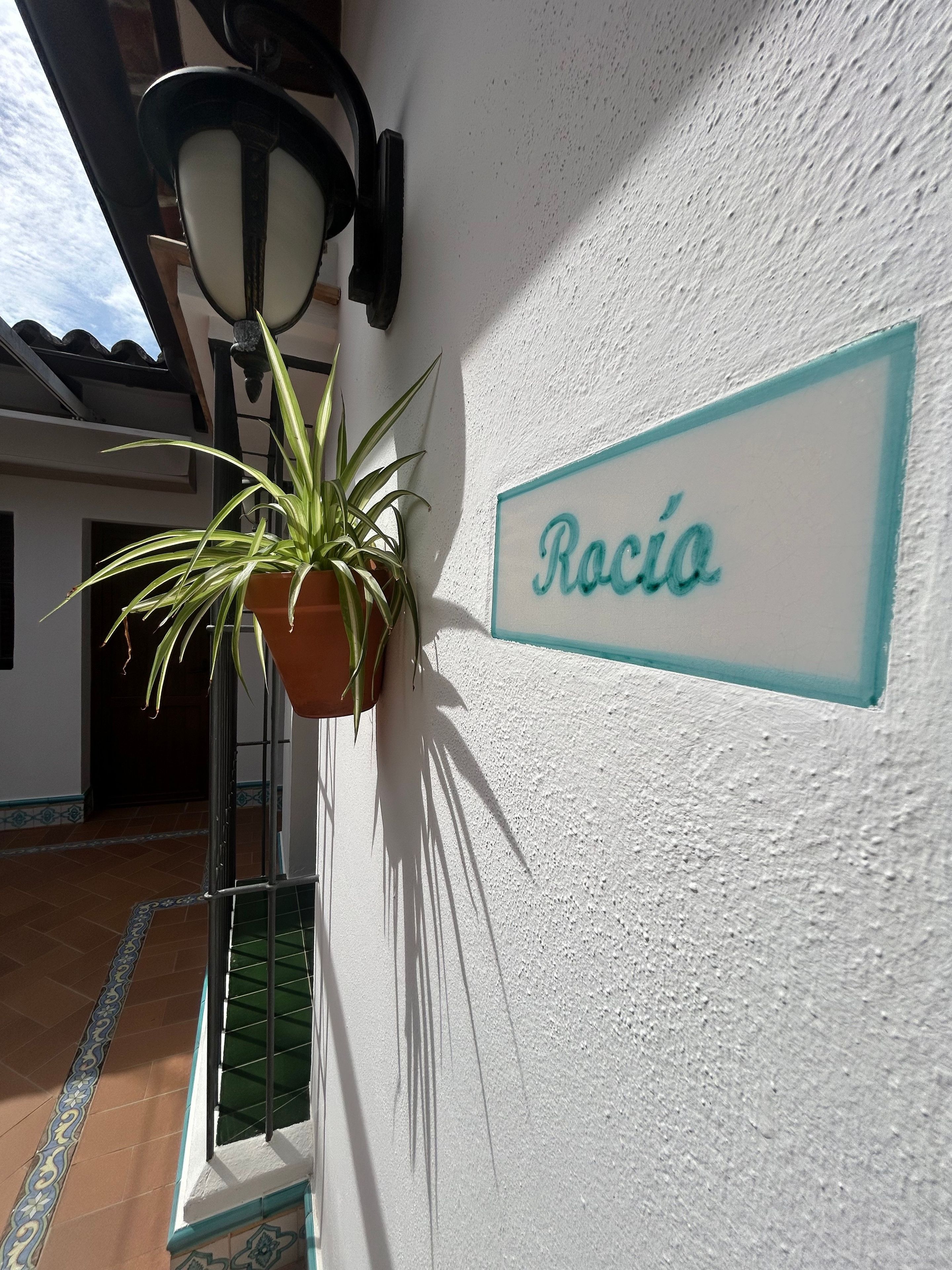 Ein Blumentopf mit Pflanze neben einer Wand, auf der das Schild 'Rocía' steht.