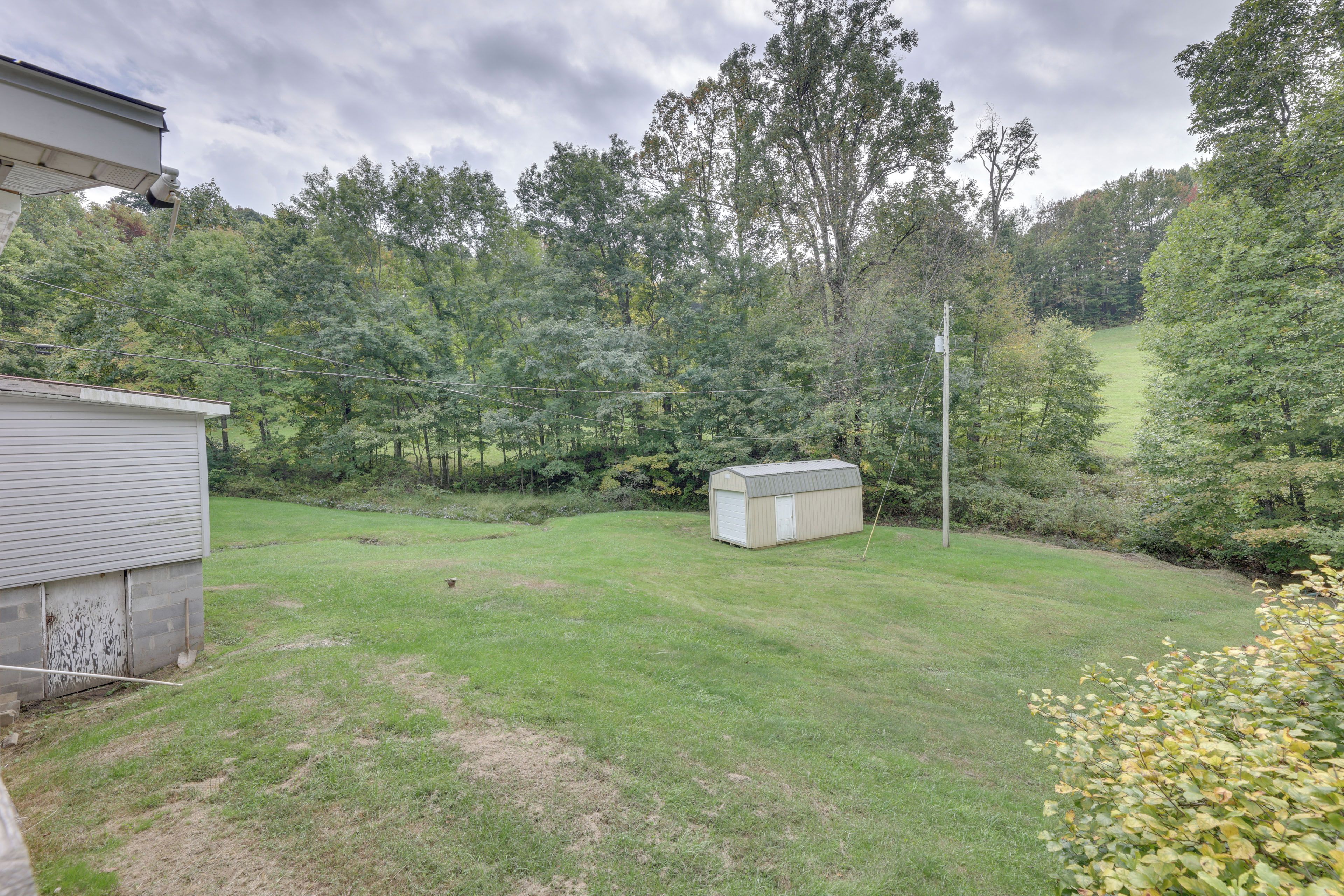 A grassy backyard with a shed and a utility pole.