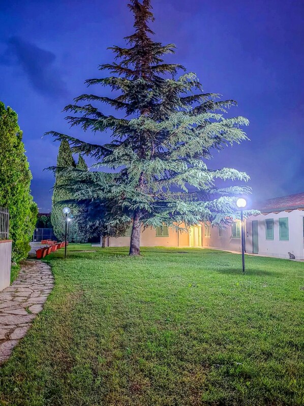 A well-maintained grassy area with a large coniferous tree, a stone pathway, and a building with a tiled roof. - defaultName (Piedimonte San Germano)