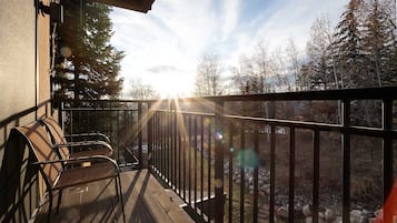 Une terrasse en bois avec une rambarde en métal, donnant sur un paysage rocheux parsemé d’arbres.
