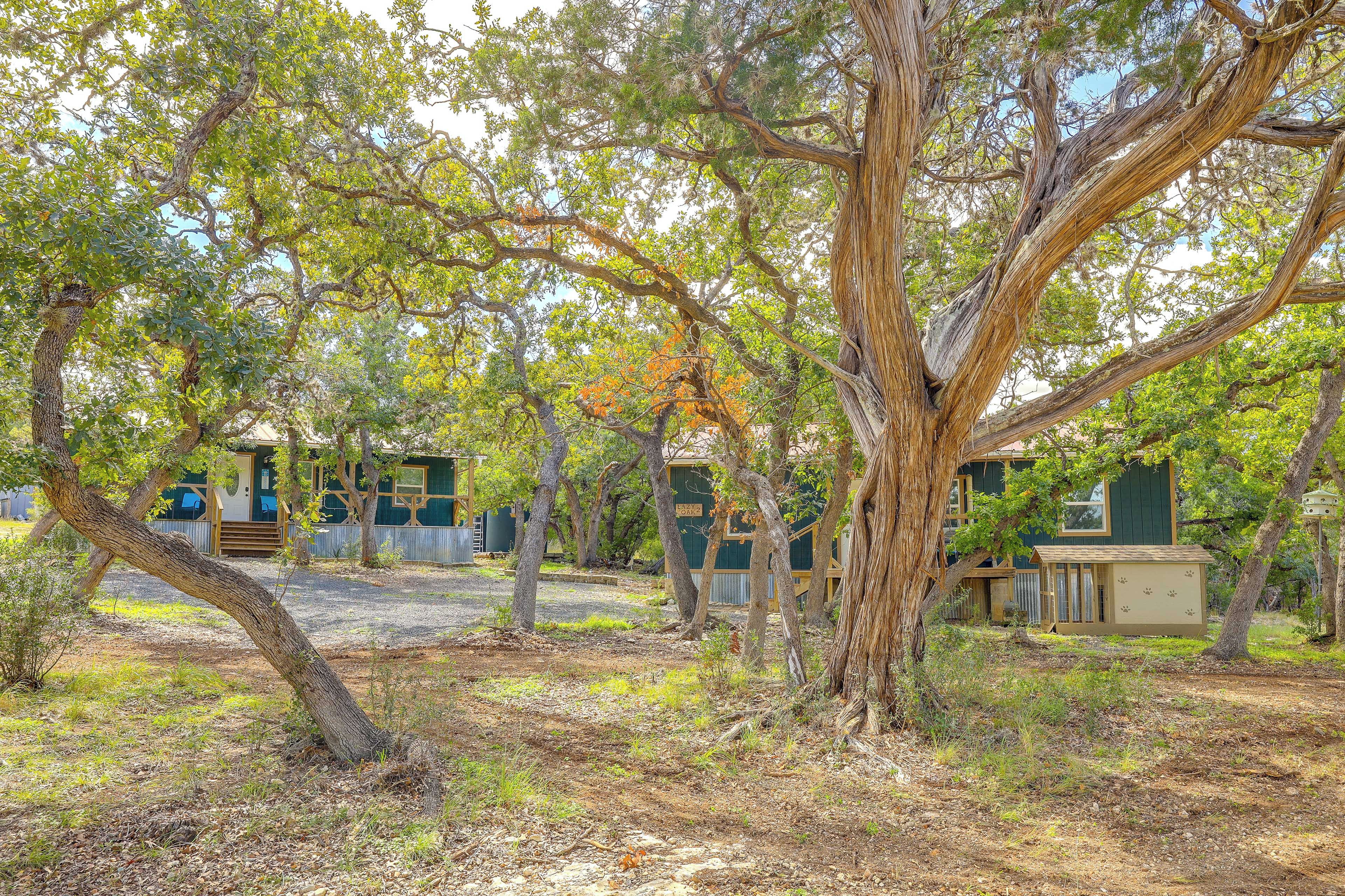A rustic outdoor area with trees, a wooden deck, and a building with a green exterior.