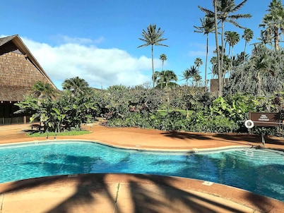 Oceanfront Condo w Loft Pool at Kepuhi Beach