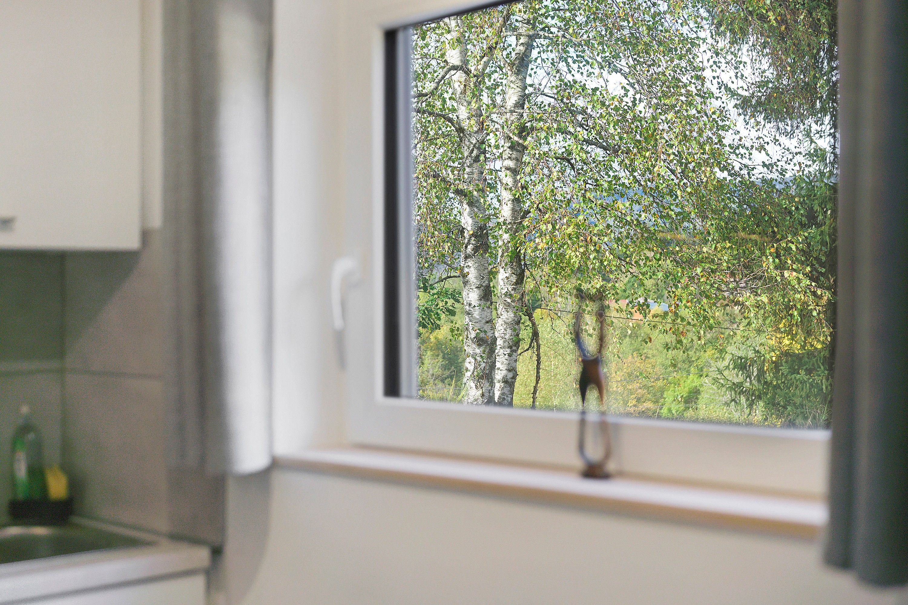 Ein Fenster mit Blick auf Bäume und einem Einblick in eine Küchenecke.