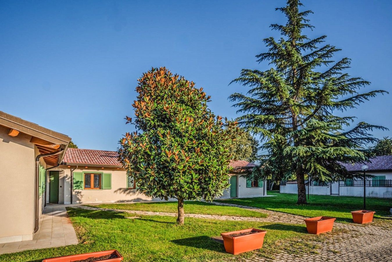 Un quartier résidentiel avec une maison, un arbre et un grand conifère.