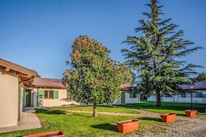 Ein Wohngebiet mit einem Haus und einem großen immergrünen Baum.