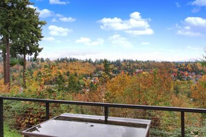 Outdoor spa tub - Your Seattle adventure starts here (Bothell)