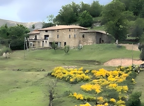 A rustic building with a flat roof and multiple windows, surrounded by green fields and yellow flowering bushes. - Holiday Home 'Gîte Chez Zephirin' with Mountain View, Shared Terrace and Wi-Fi (Fabras)
