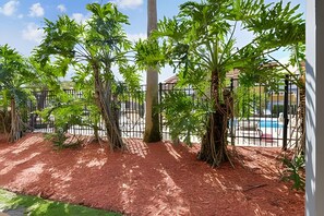 Een tuin met palmbomen, een zwembad en een omheining.