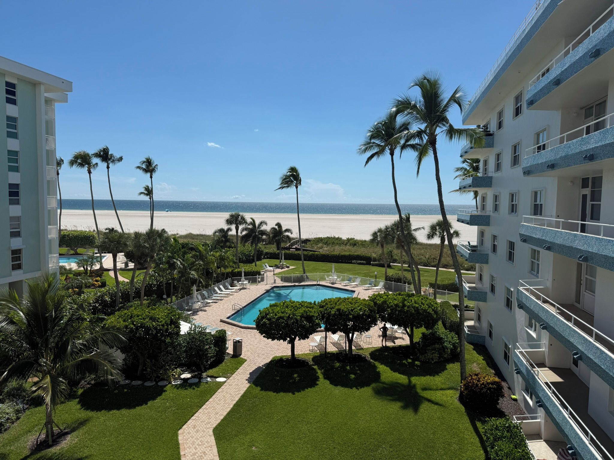 A hotel with a swimming pool surrounded by palm trees and a view of the beach.