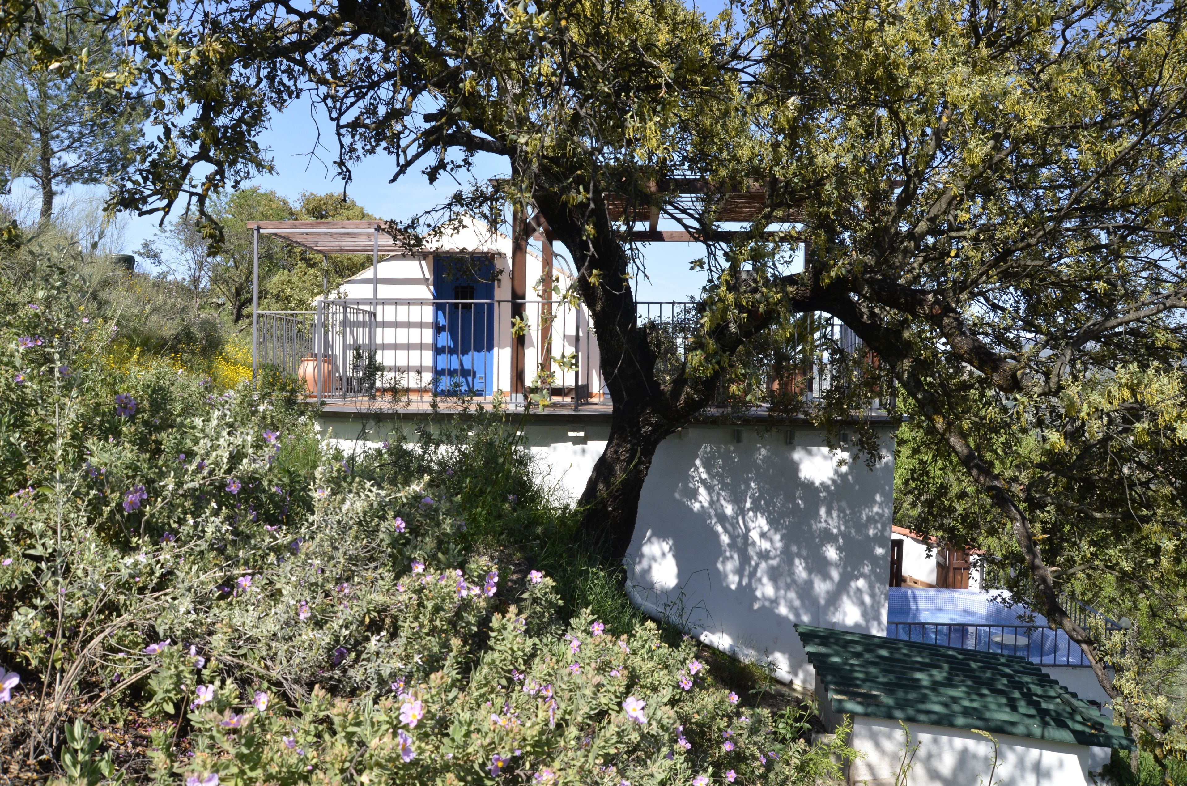 Un bâtiment blanc avec une porte bleue, entouré de verdure et de plantes en fleurs.