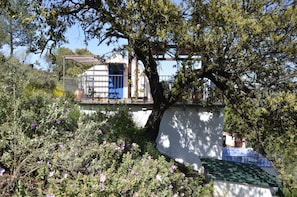 Un edifici blanc amb una porta blava, envoltat de verdura i plantes en flor.