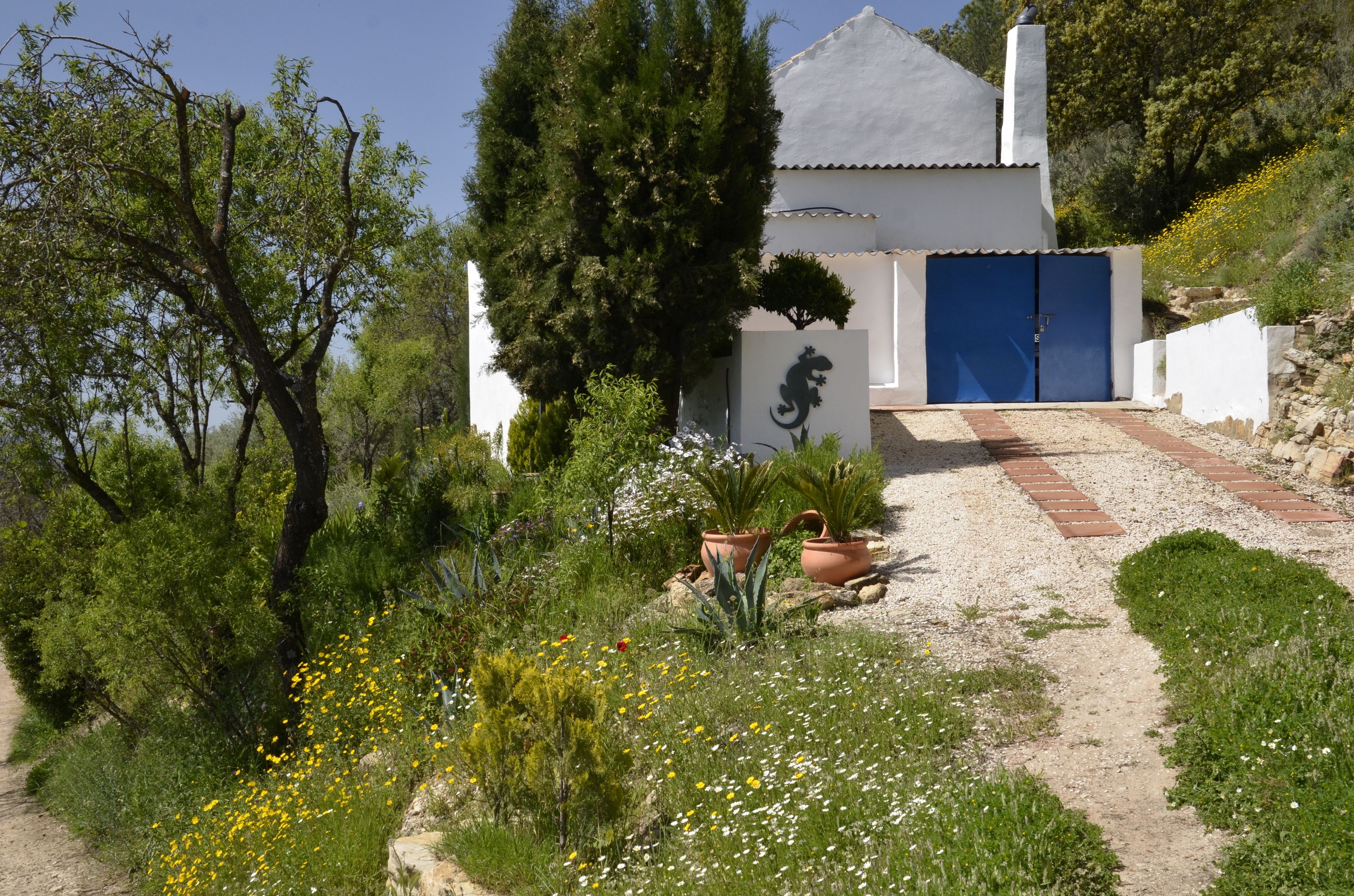Un bâtiment à l’extérieur blanc, avec une porte bleue et un chemin qui y mène. On y trouve des plantes en pot et une grande variété de végétaux.