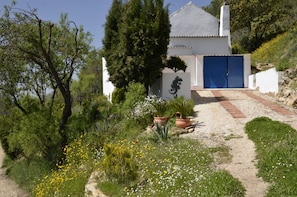 A building with a white exterior, a blue door, and a pathway leading to it. There are potted plants and a variety of vegetation around.