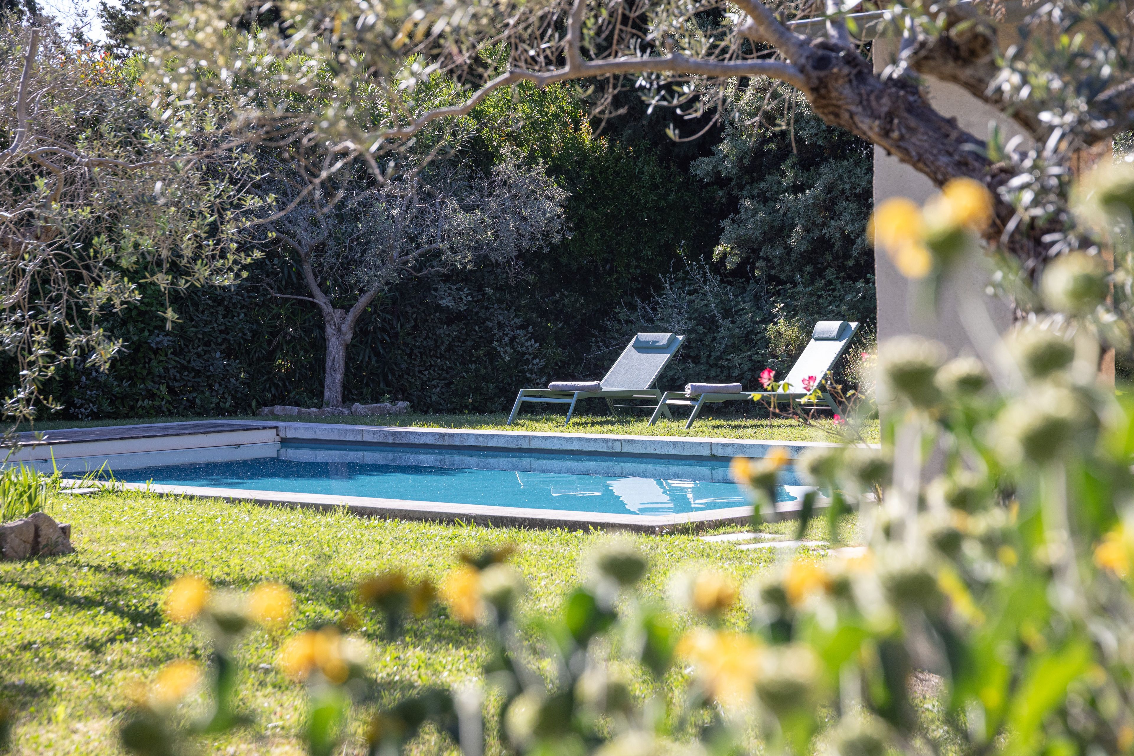A swimming pool with two lounge chairs and a grassy area.