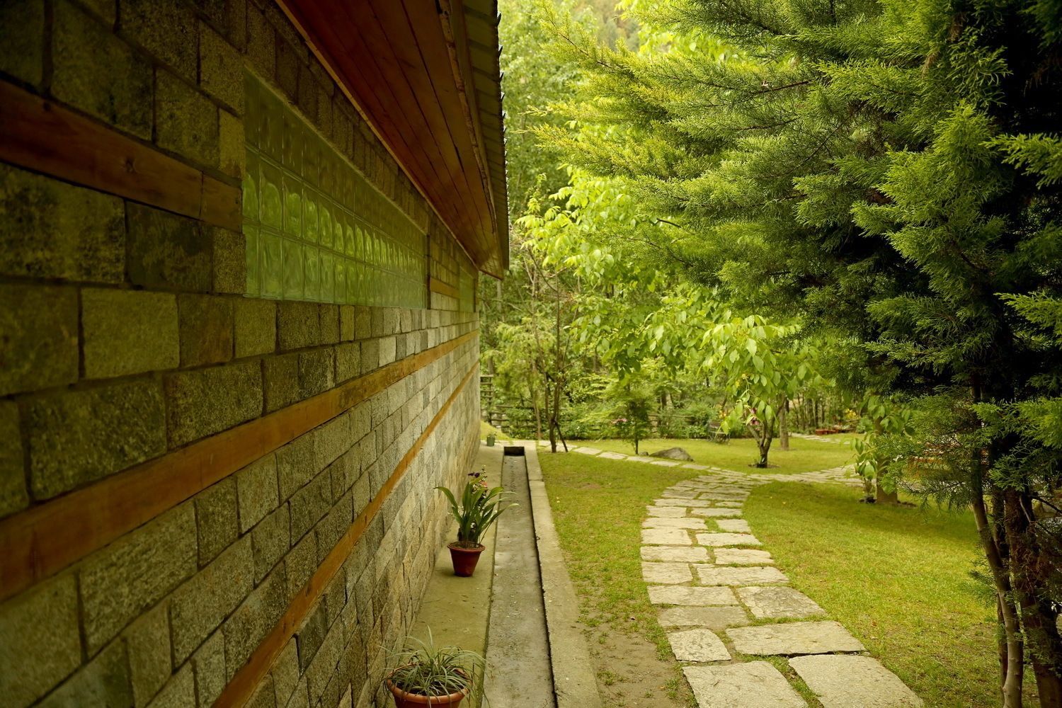Un chemin de pierres qui traverse un jardin luxuriant, avec un mur de briques d’un côté.